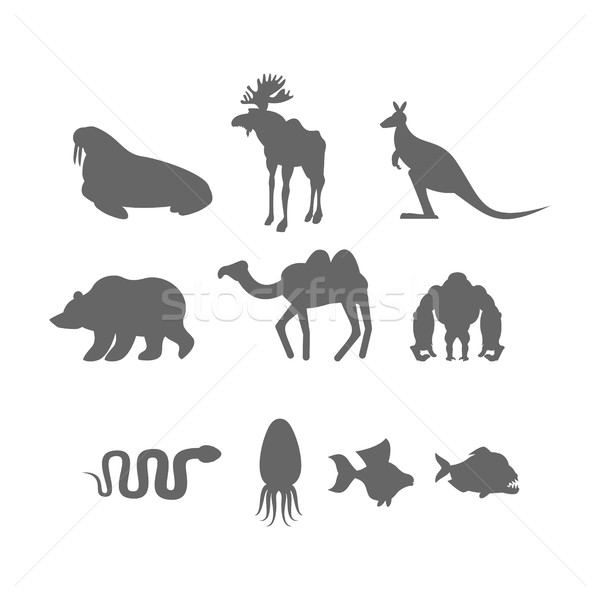 Set Wild animal silhouette. Animals from Zoo and fishes Stock photo © popaukropa