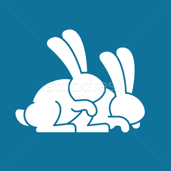Bunny sex. rabbit intercourse. Hares isolated. Animal reproducti Stock photo © popaukropa