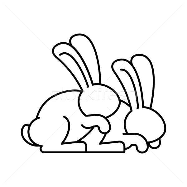 Bunny sex. rabbit intercourse. Hares isolated. Animal reproducti Stock photo © popaukropa