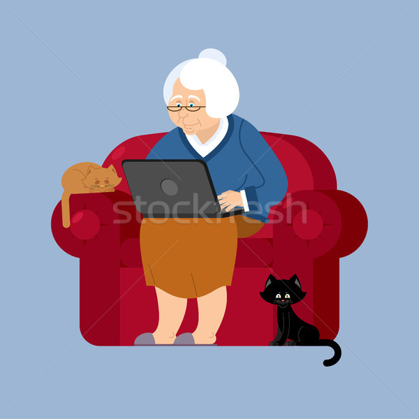 Büyükanne dizüstü bilgisayar koltuk Yaşlı kadın pc büyükanne Stok fotoğraf © popaukropa
