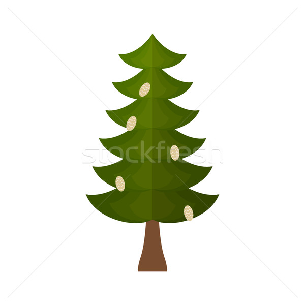 Fir with cones isolated. fir-tree on white background. Christmas Stock photo © popaukropa