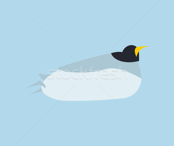 Penguin in water to swim isolated. Animal north pole. Bird Antar Stock photo © popaukropa