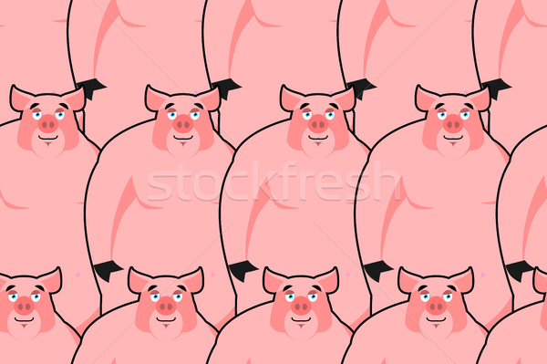 Domuz domuz yavrusu doku pi Stok fotoğraf © popaukropa