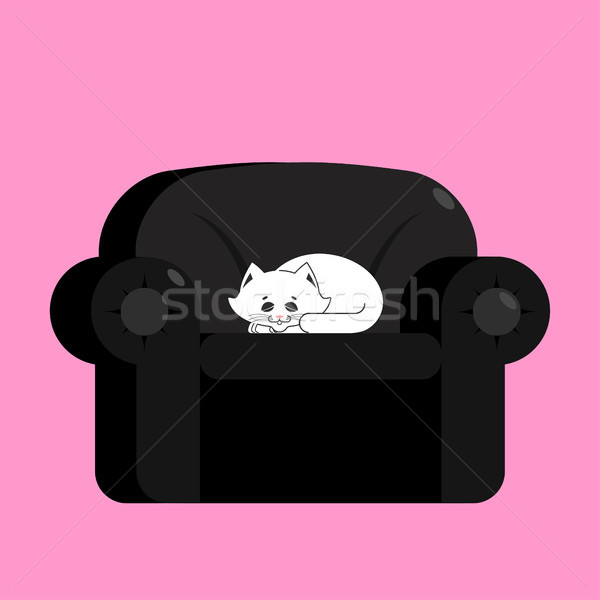 白 猫 黒 アームチェア ホーム ペット ストックフォト © popaukropa