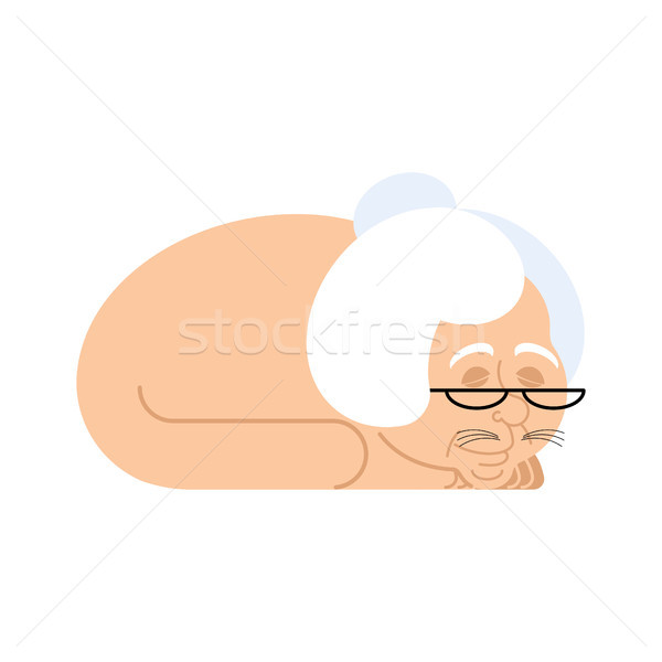 Grandmother with cat body. Cat with grandma head. pet in paralle Stock photo © popaukropa