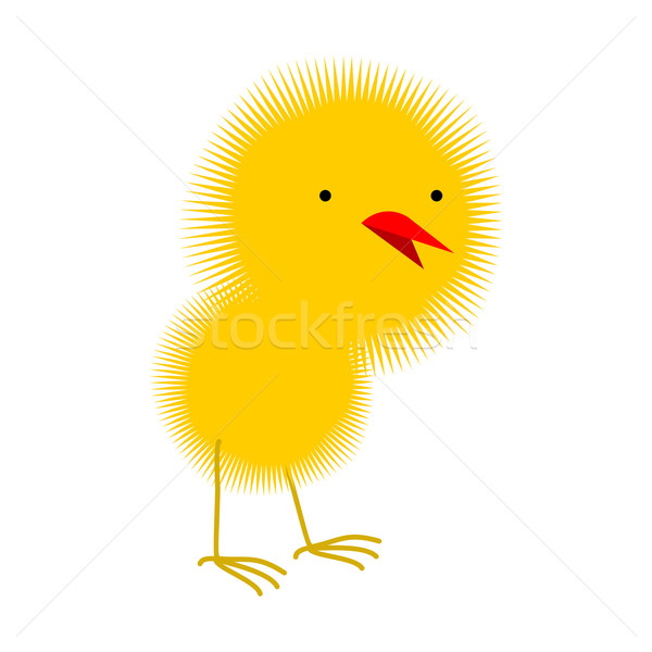 Bolyhos citromsárga csirke tyúk kicsi fehér Stock fotó © popaukropa