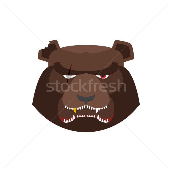 Enojado tener verde boina agresivo oso pardo Foto stock © popaukropa