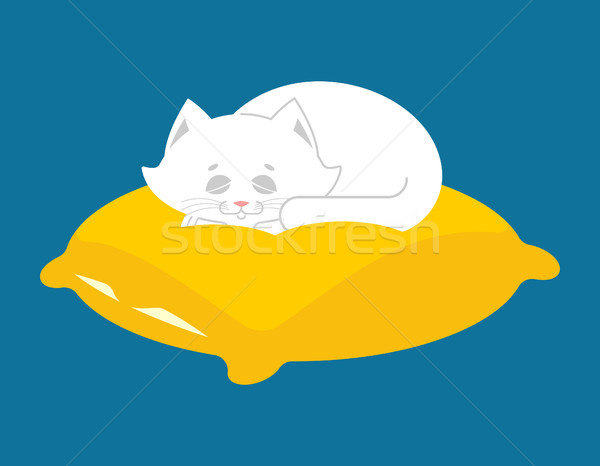 White Cat sleeps on pillow. Sleeping kitten pet Stock photo © popaukropa