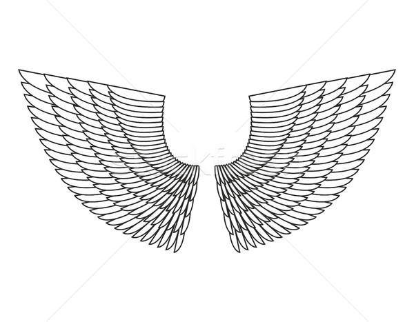 Stock photo: Angel Wings Isolated. White Feather wing of bird