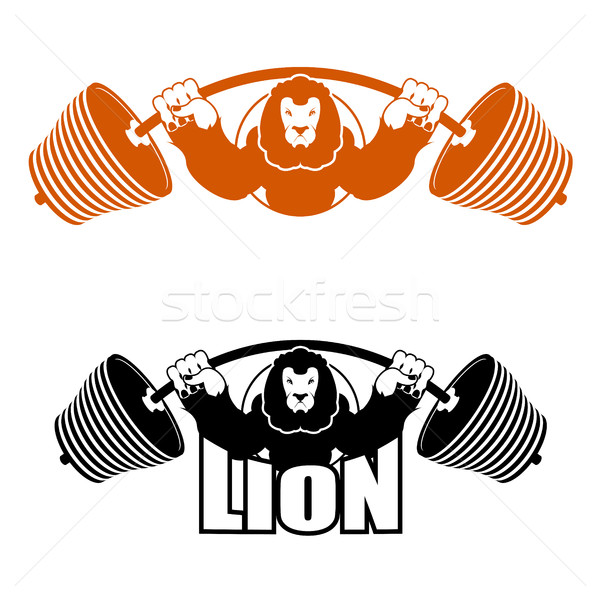 Angry Leo strong athlete. Barbell and Aggressive big beast. Lion Stock photo © popaukropa