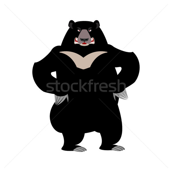 Himalayan bear angry emotion. aggressive wild animal emoji. Blac Stock photo © popaukropa
