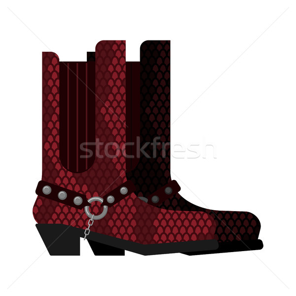 Cowboy boots made python leather. Australia shoes made crocodile Stock photo © popaukropa