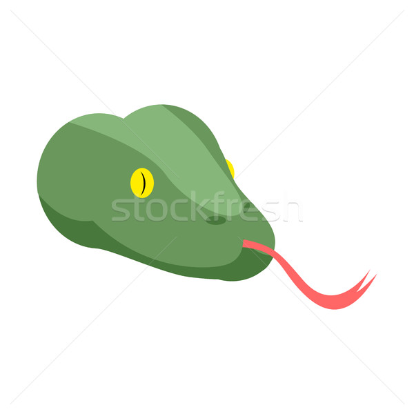 蛇 頭 孤立 面對 白 綠色 商業照片 © popaukropa