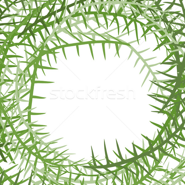 Algae frame. Leading grass background. place for text Stock photo © popaukropa