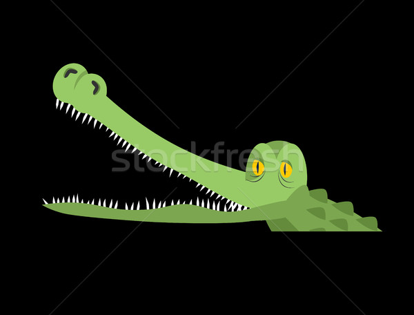Crocodile in water. Alligator in river. Water reptile predator Stock photo © popaukropa