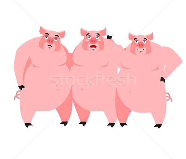 Drei Schwein Illustration Märchen weiß glücklich Stock foto © popaukropa