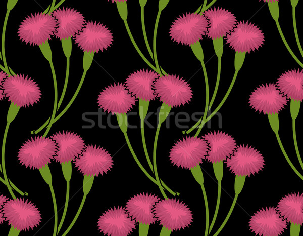 Сarnation seamless pattern. Flower bouquet background. Three Pi Stock photo © popaukropa