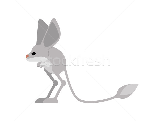 Jerboa isolated. Steppe animal on white background Stock photo © popaukropa