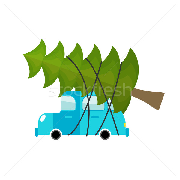 Car and fir-tree. Machine driven by green tree in new year. Gree Stock photo © popaukropa