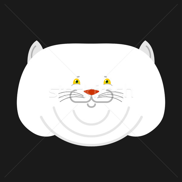 Fat white cat isolated. Big Thick pet home Stock photo © popaukropa