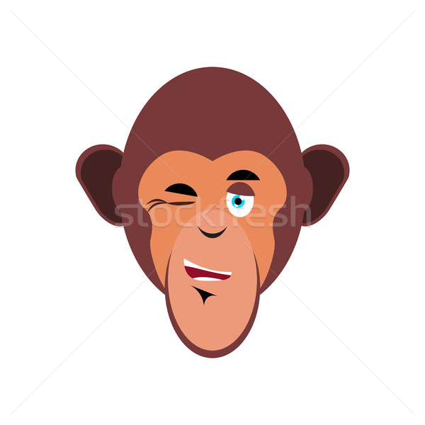 Singe joyeux émotion isolé chimpanzé [[stock_photo]] © popaukropa