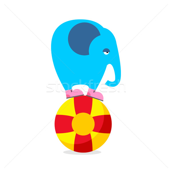Blue elephant on ball. Performing Circus animal. Sad elephant am Stock photo © popaukropa