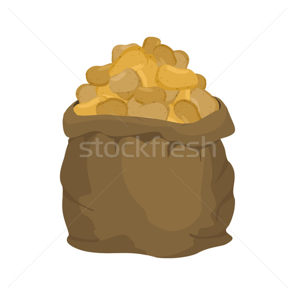 Potato Burlap bag. sack of vegetables. big crop on farm. sackful Stock photo © popaukropa
