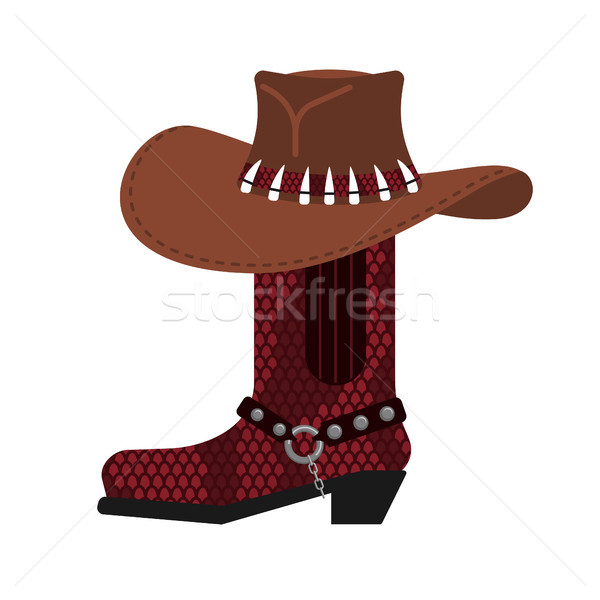 Australian hat and crocodile skin boots. Cowboy cap and python l Stock photo © popaukropa