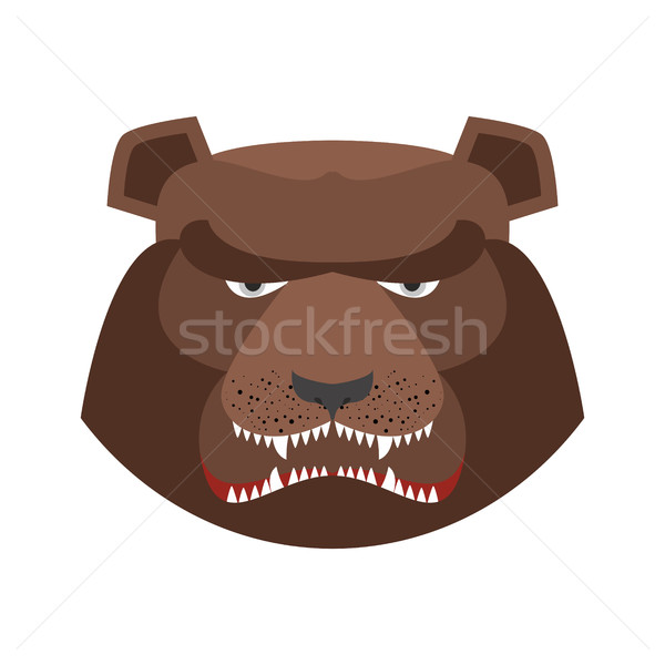 Angry bear in green beret. Aggressive Grizzly head. Wild animal  Stock photo © popaukropa