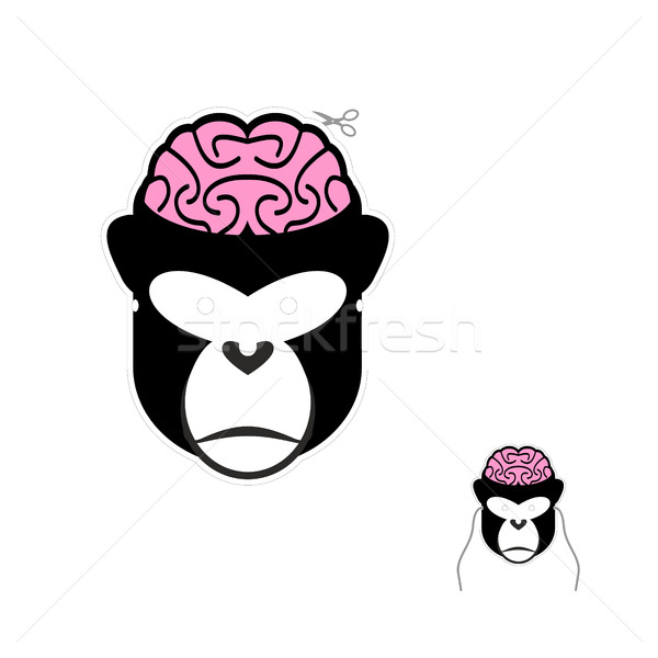 Monkey with brains. Carnival mask for any holiday. Mask for Hall Stock photo © popaukropa