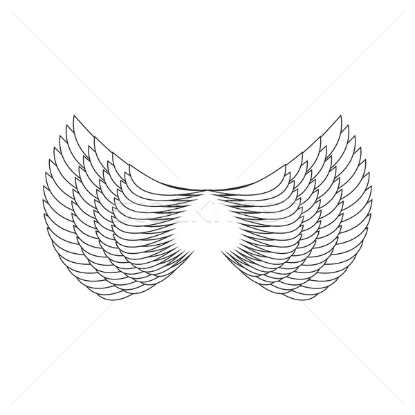 Angel Wings Isolated. White Feather wing of bird Stock photo © popaukropa