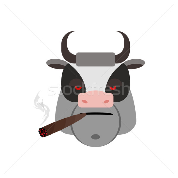 Angry bull with cigar. Ferocious muzzle cow. Evil Farm Animals Stock photo © popaukropa
