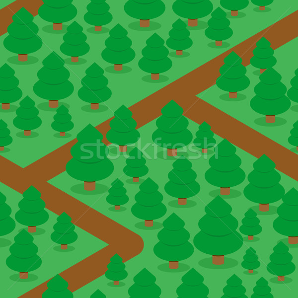 Forest seamless pattern. Spruce thicket natural background. Fore Stock photo © popaukropa