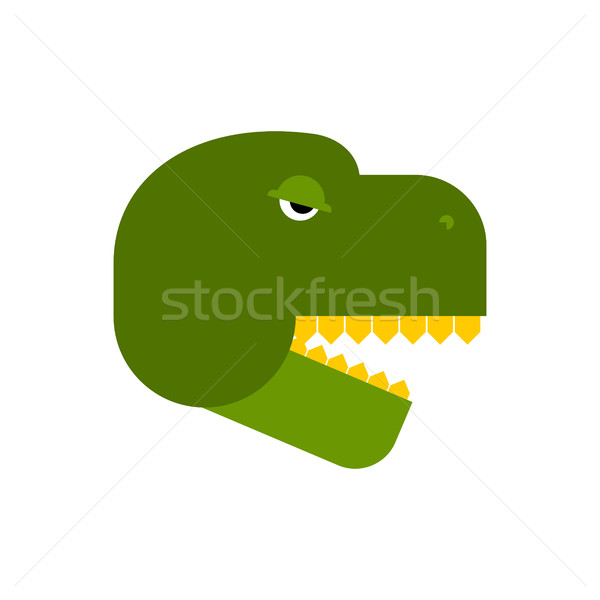 Tyrannosaurus face. Angry dinosaur head. T-Rex front Stock photo © popaukropa