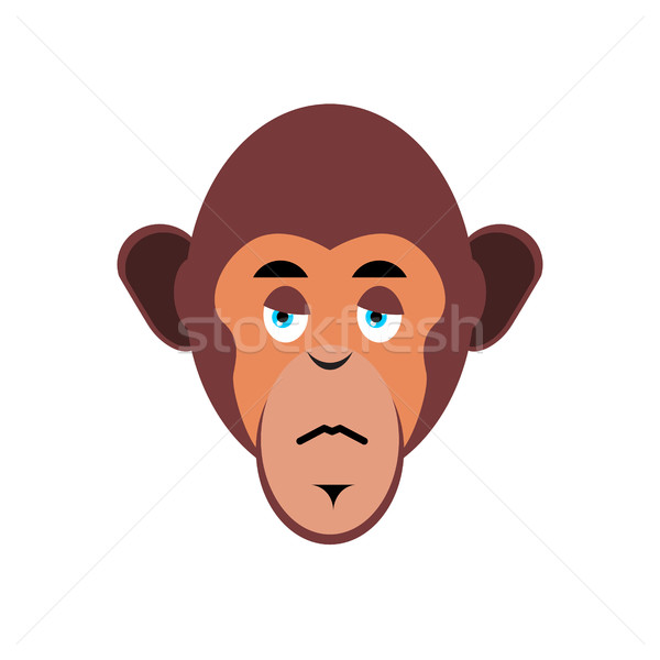 Monkey sad Emoji. marmoset unhappy emotion isolated. Chimpanzee  Stock photo © popaukropa