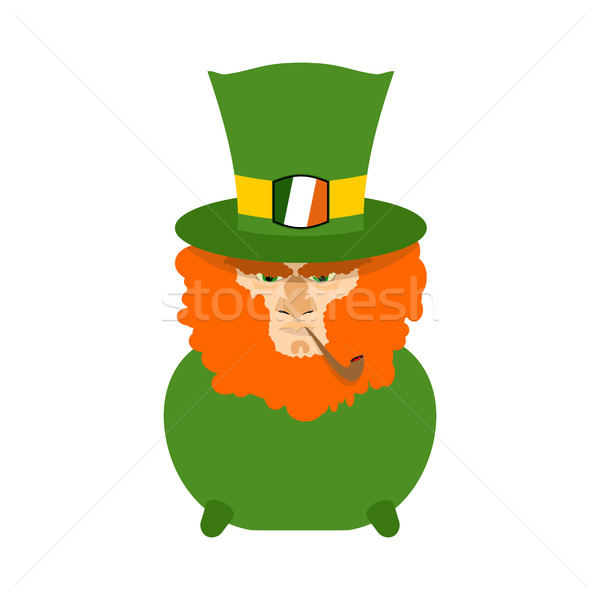 Leprechaun with red beard in pot. St. Patricks Day character. Ir Stock photo © popaukropa