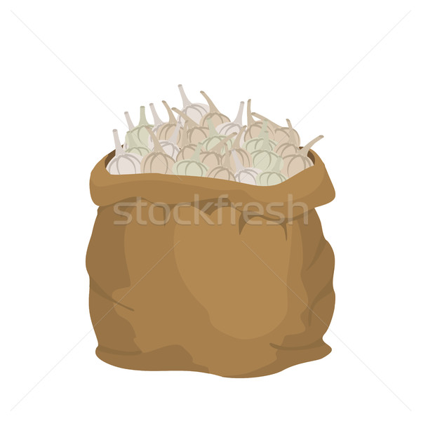 Fokhagyma zsákvászon táska zsák zöldségek nagy Stock fotó © popaukropa