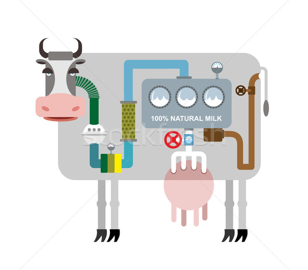 Krowy mleka infografiki naturalnych produkcji domowych Zdjęcia stock © popaukropa