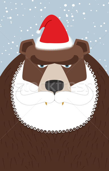 Russian Santa Claus-bear. Wild animal with beard and moustache.  Stock photo © popaukropa
