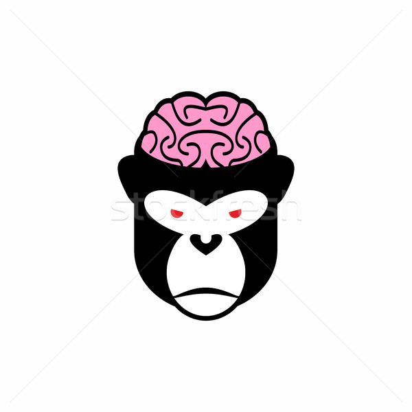 Monkey brains. Vector illustration logo head animal. Pink brain  Stock photo © popaukropa
