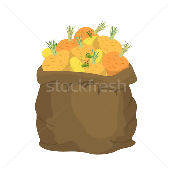 Turnip Burlap bag. sack of vegetables. big crop on farm. sackful Stock photo © popaukropa