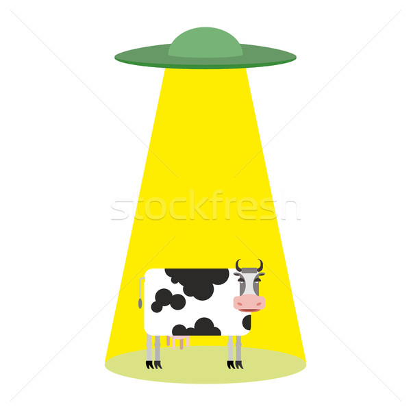 OZN vacă bovine frisbee animalele de ferma cer Imagine de stoc © popaukropa