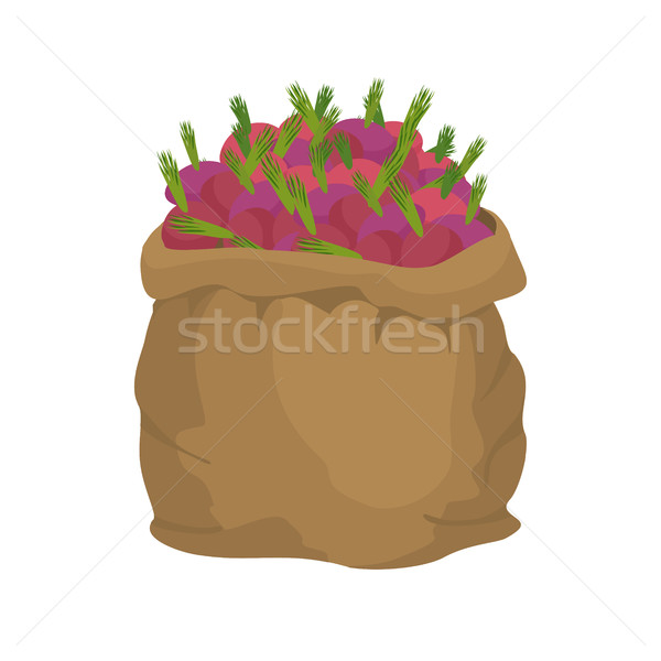 Beet Burlap bag. sack of vegetables. big crop on farm. sackful b Stock photo © popaukropa