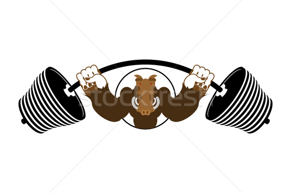 Strong angry boar warthog. Wild boar and barbell. Emblem for spo Stock photo © popaukropa