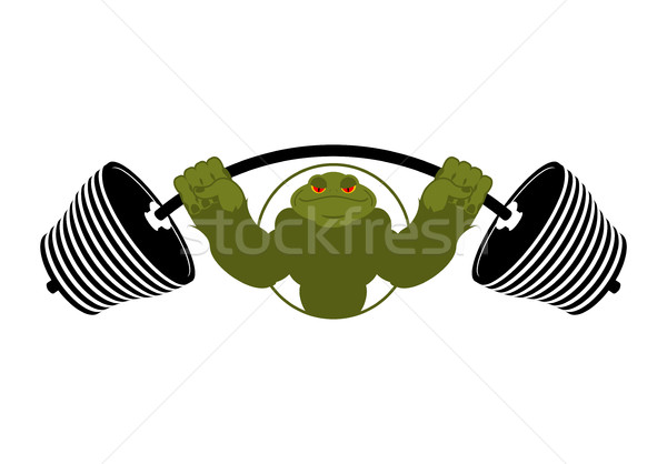 Güçlü kurbağa güçlü karakurbağası büyük kaslar Stok fotoğraf © popaukropa