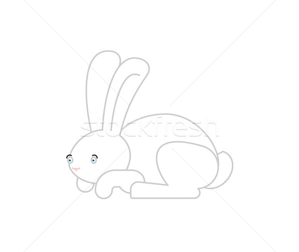 Biały królik odizolowany cute zając bunny Zdjęcia stock © popaukropa