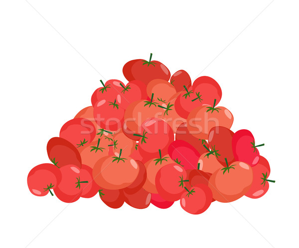 bunch of Tomato. lot of vegetables. big crop on farm Stock photo © popaukropa