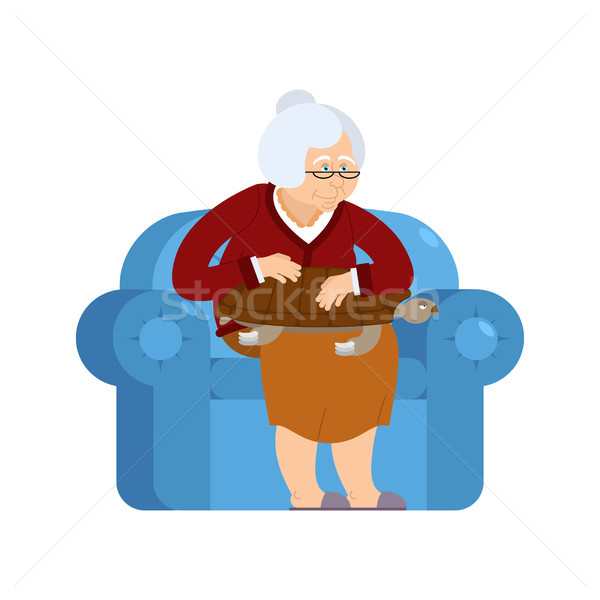 Grandmother and Turtle pet sitting on chair. grandma and tortois Stock photo © popaukropa
