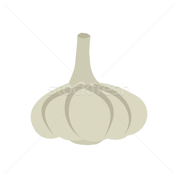 Garlic isolated. Vegetables on white background. Plant pungent t Stock photo © popaukropa