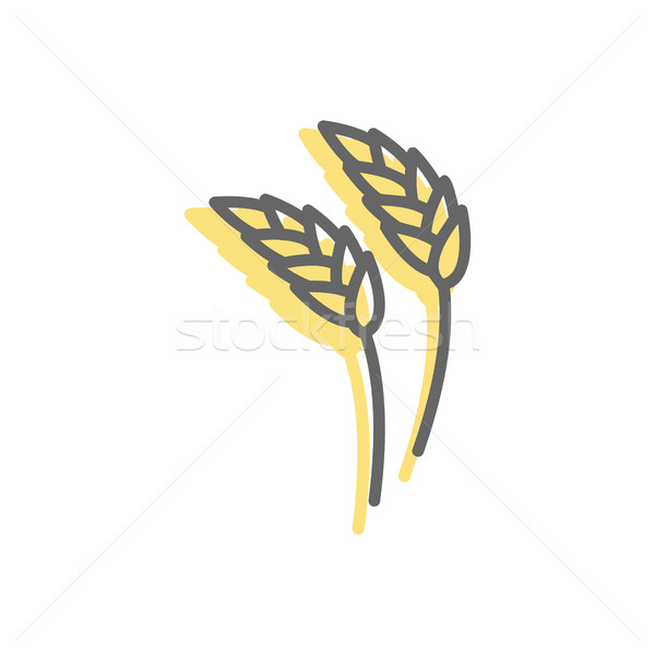 Rye ear line icon. wheat  Sign for production of bread and baker Stock photo © popaukropa